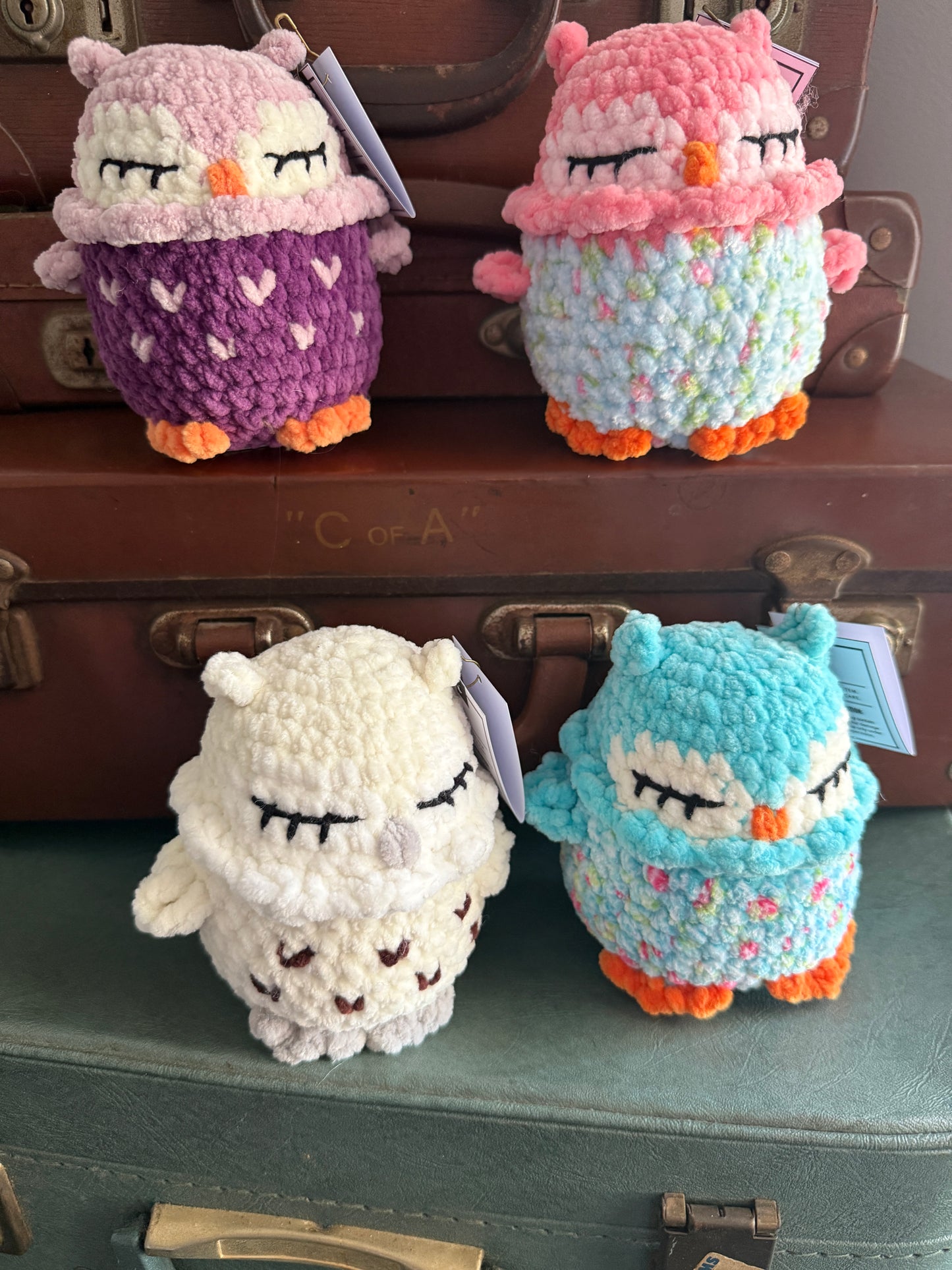 Cute Baby Crochet Owls