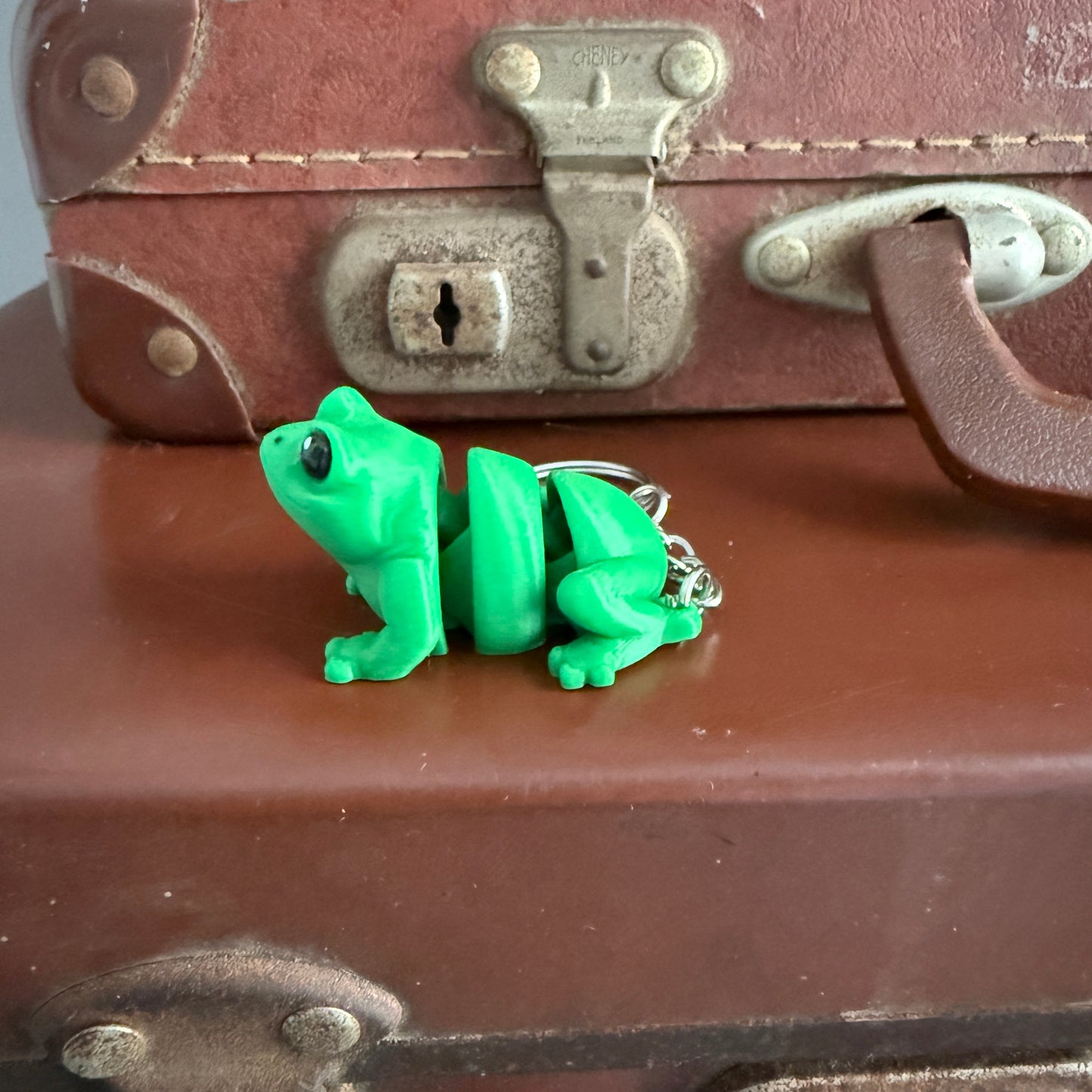 Jiggle Pet Plastic 3D Print Keychain - Frog