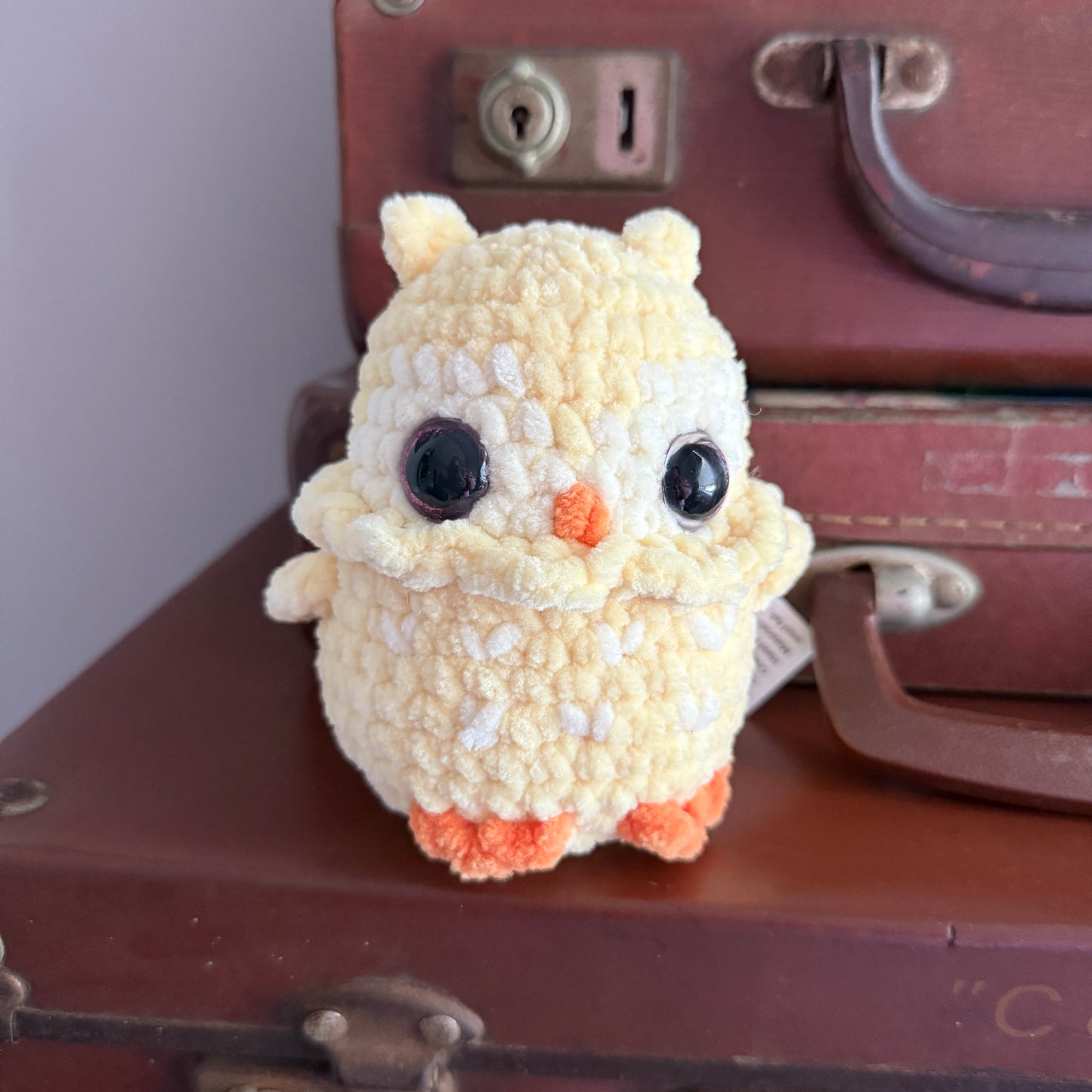 Cute Baby Crochet Owls