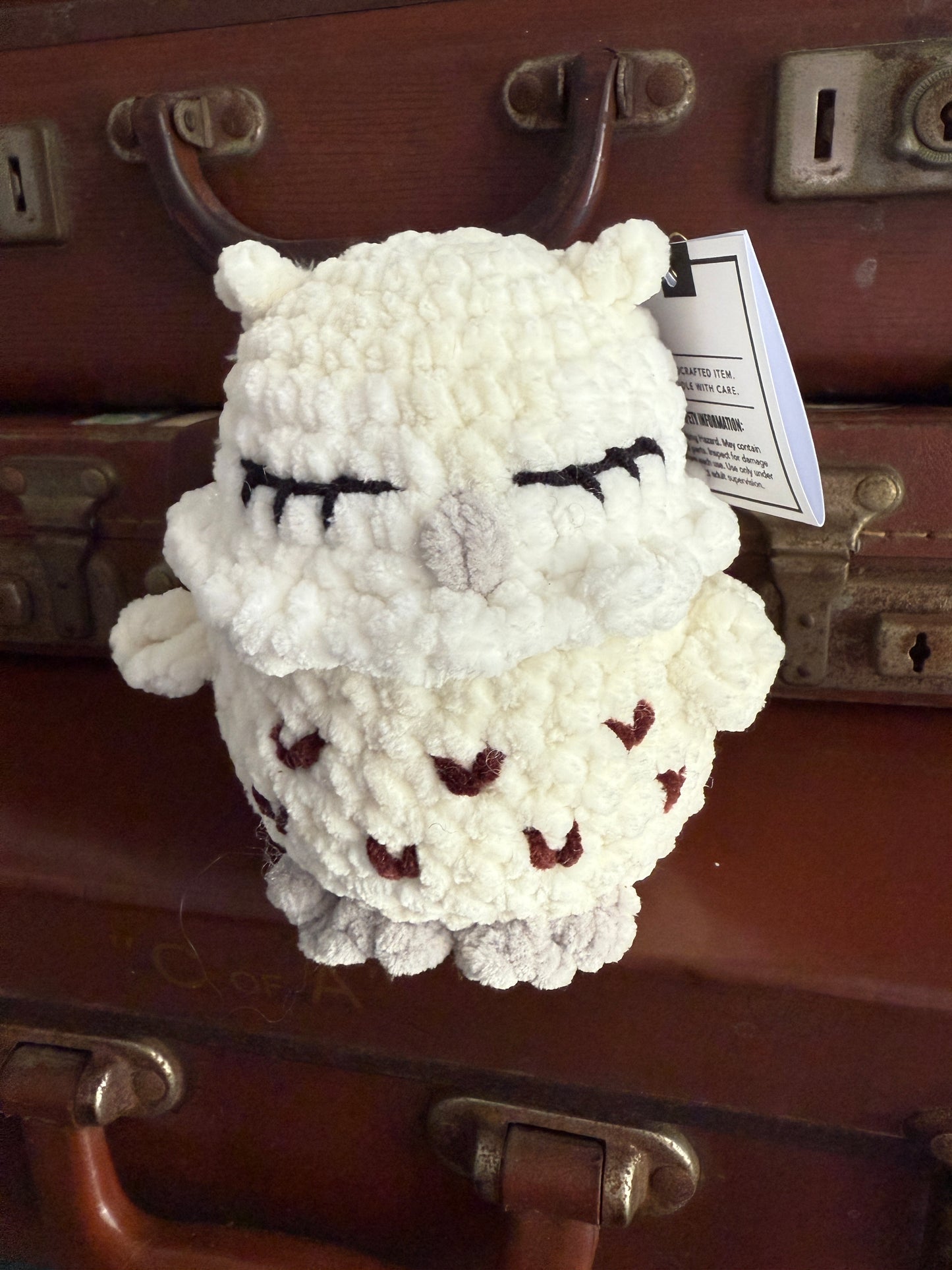 Cute Baby Crochet Owls