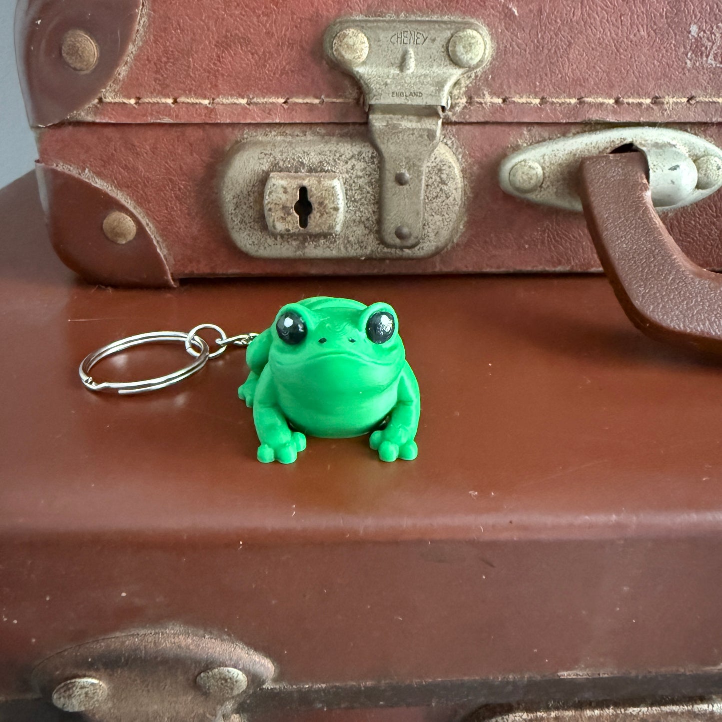 Jiggle Pet Plastic 3D Print Keychain  - Frog