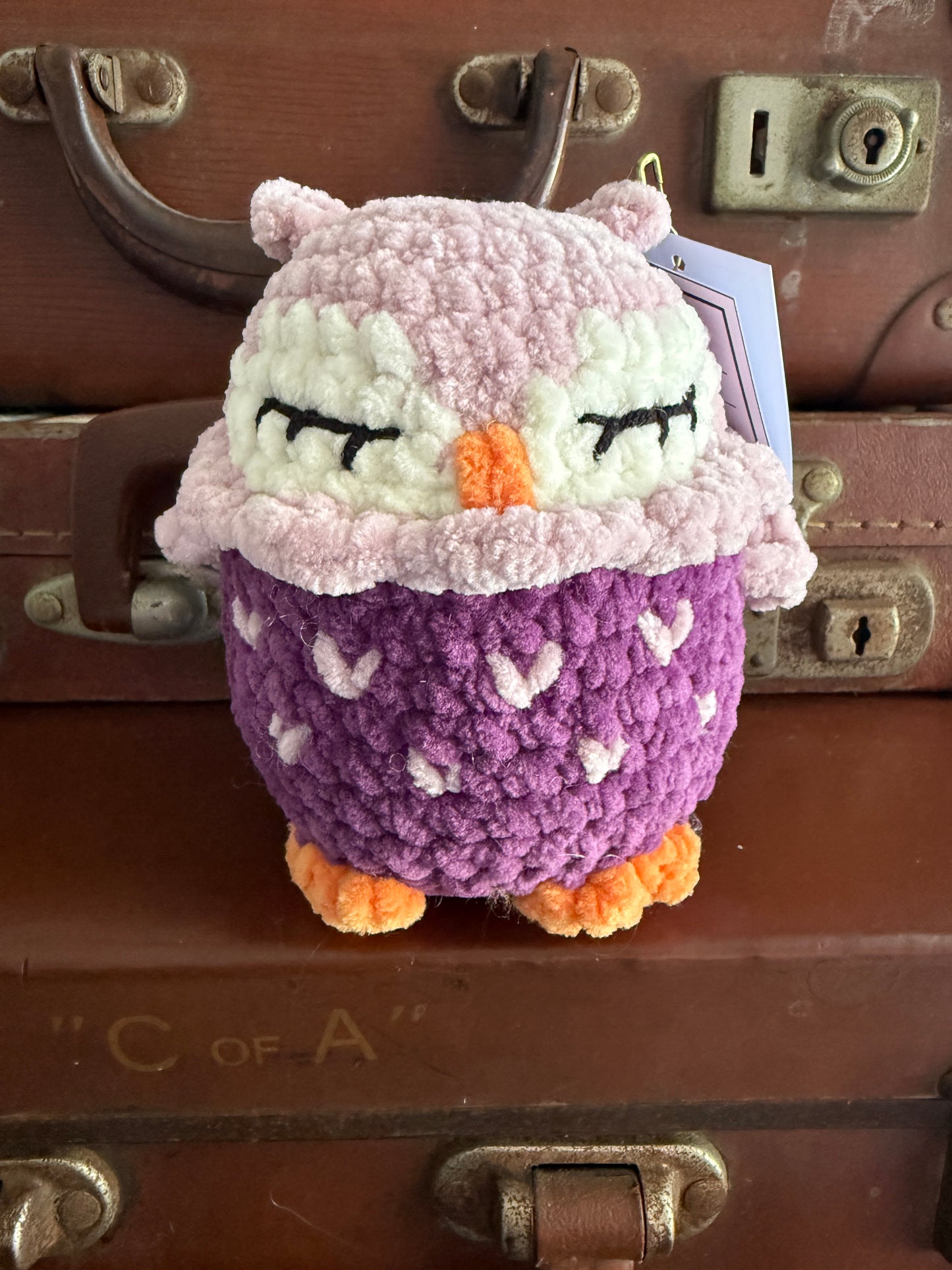 Cute Baby Crochet Owls