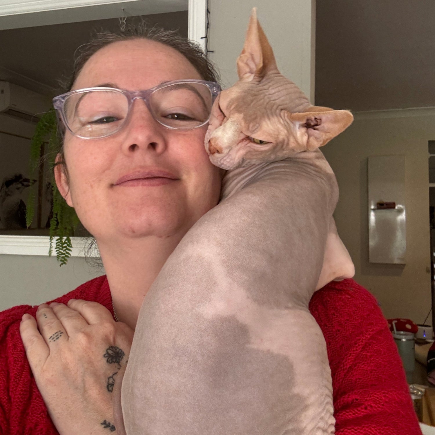 Person with a Sphynx cat on their shoulder indoors.