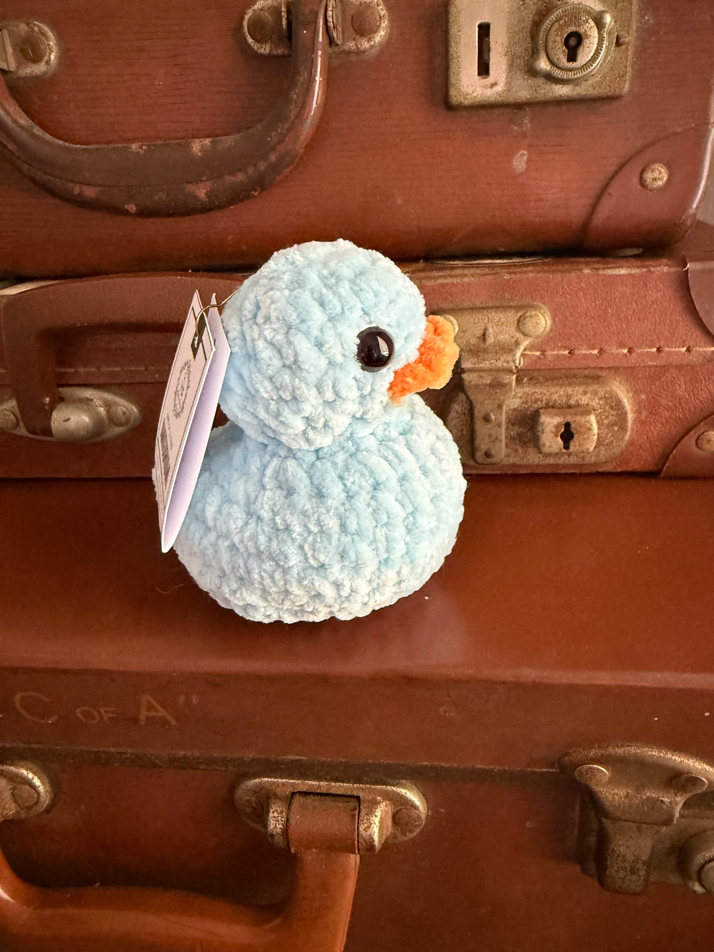 Crochet Squeaky Not so Rubber Ducky